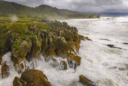 New Zealand 2025 (1 group) (33/66)